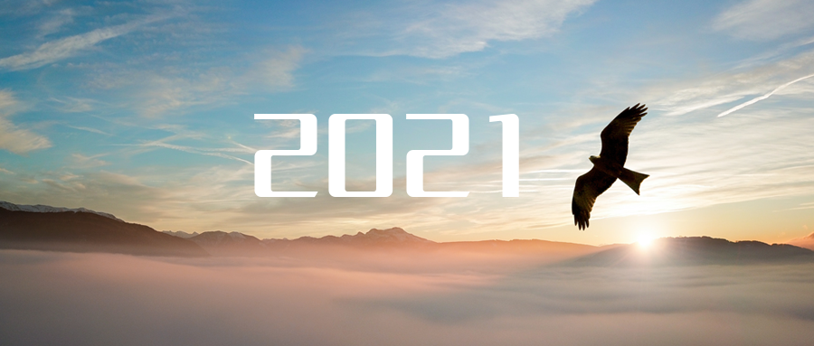 乘“峰”而上，智“盈”未来 ——2021年尊龙凯时环境高级资深副总裁新年开工动员